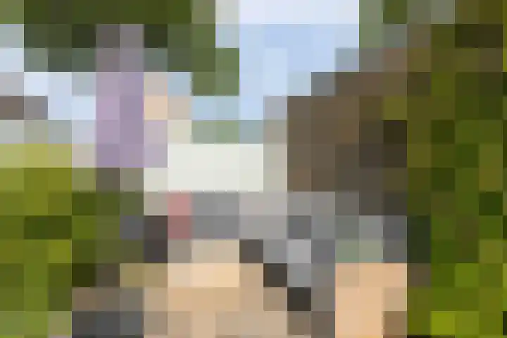 Engelenburgallee 16 Duiven thumbnail 56