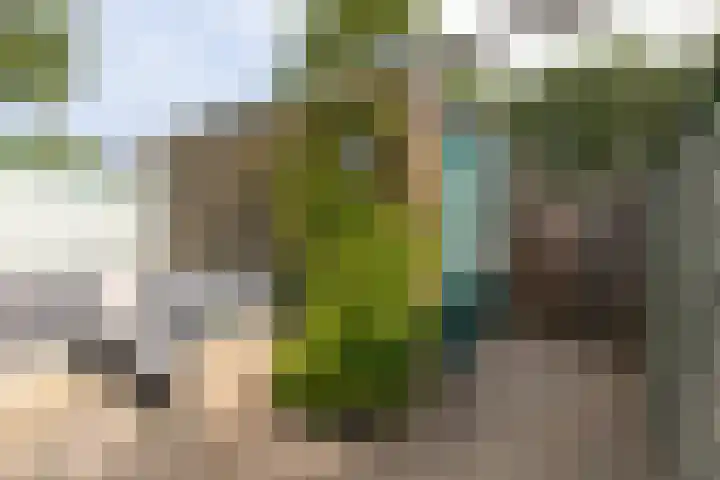Engelenburgallee 16 Duiven thumbnail 57