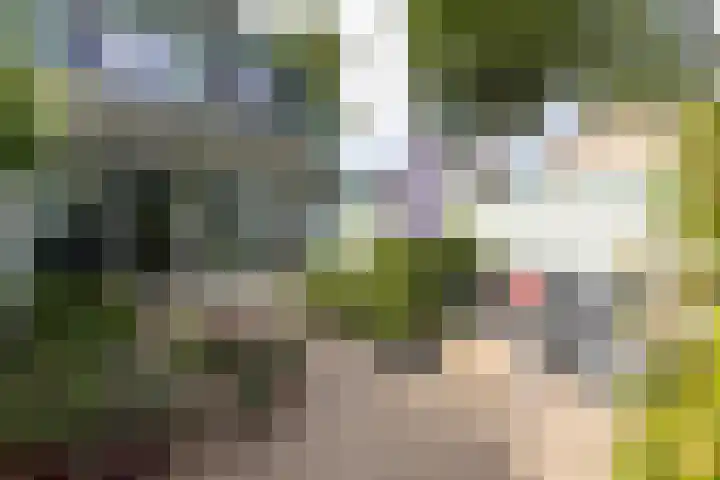 Engelenburgallee 16 Duiven thumbnail 58