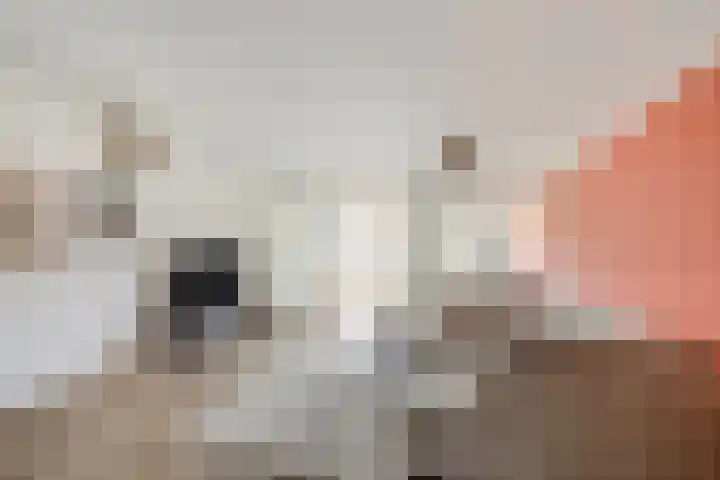 Engelenburgallee 6 Duiven thumbnail 10