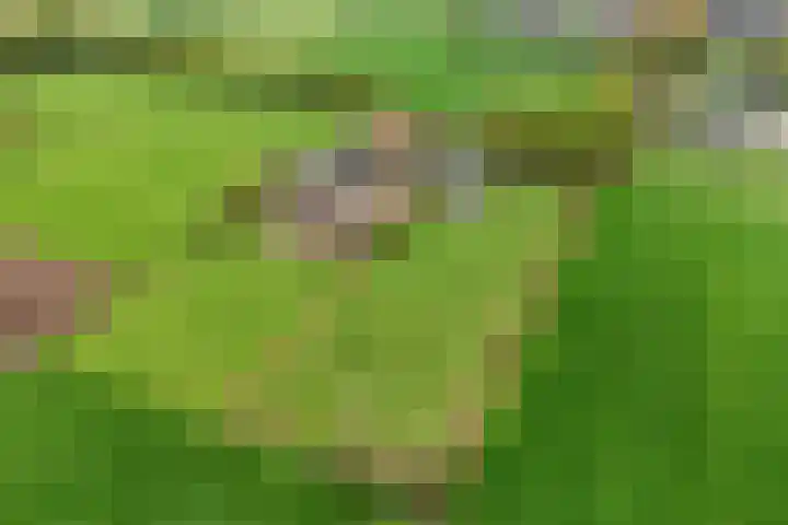 Engelenburgallee 6 Duiven thumbnail 28