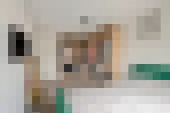 Engelenburgallee 6 Duiven thumbnail 30