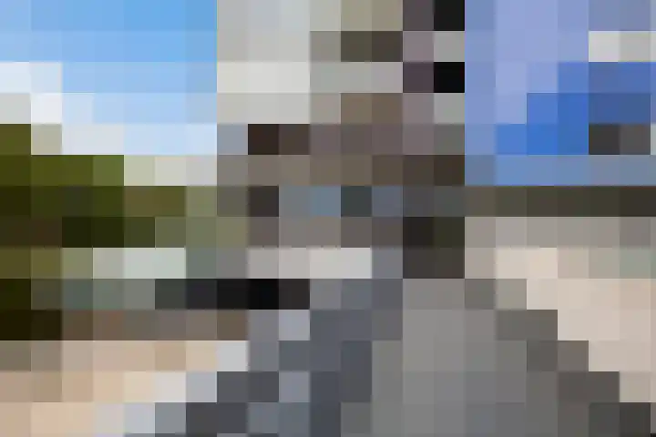 Engelenburgallee 6 Duiven thumbnail 33