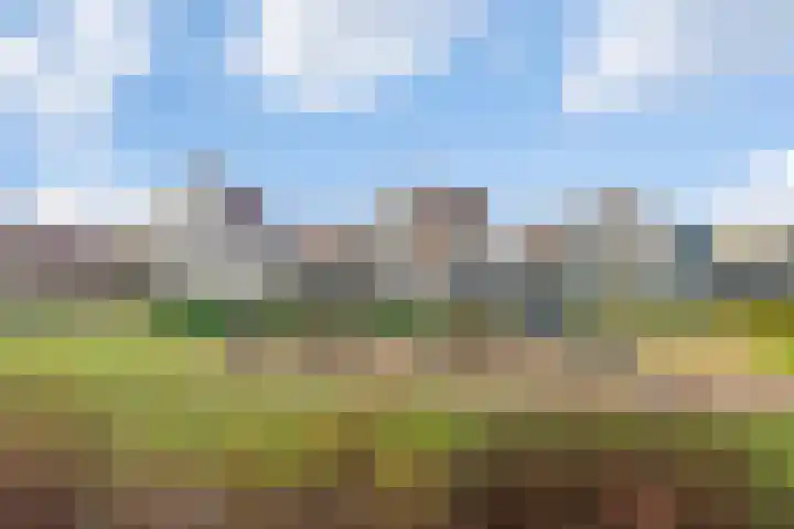 Engelenburgallee 6 Duiven thumbnail 36