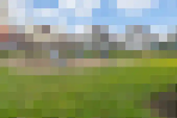 Engelenburgallee 6 Duiven thumbnail 37