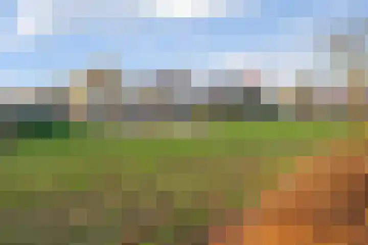 Engelenburgallee 6 Duiven thumbnail 38