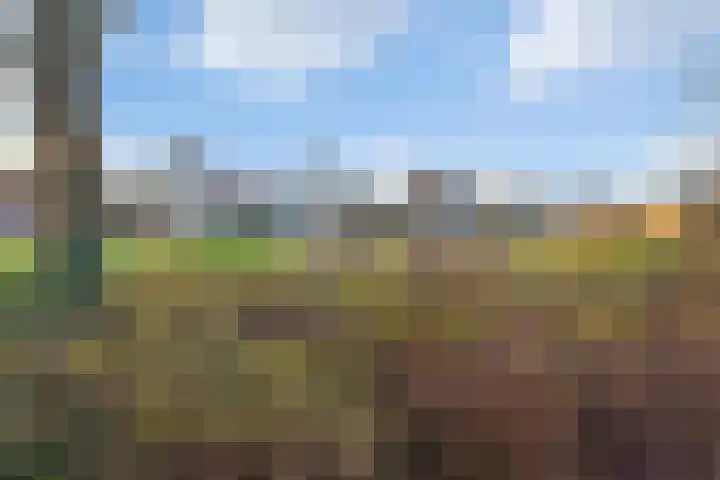 Engelenburgallee 6 Duiven thumbnail 39
