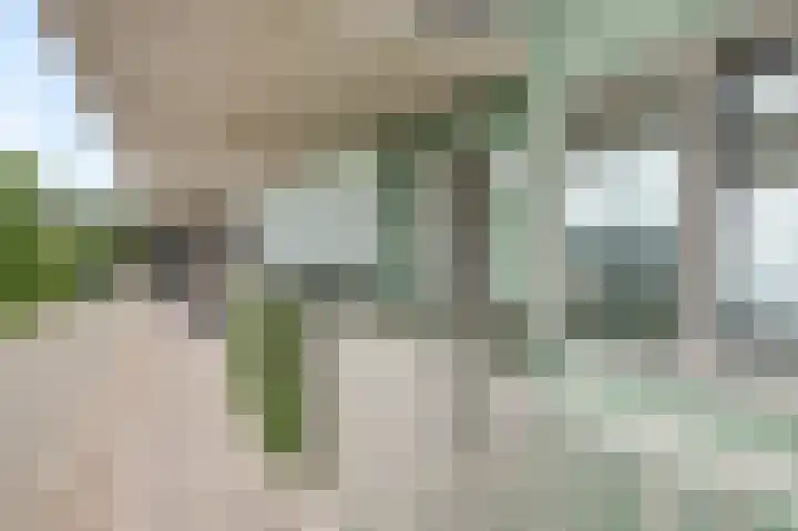 Engelenburgallee 6 Duiven thumbnail 42