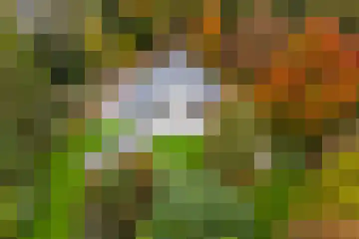 Engelenburgerlaan 27 Brummen