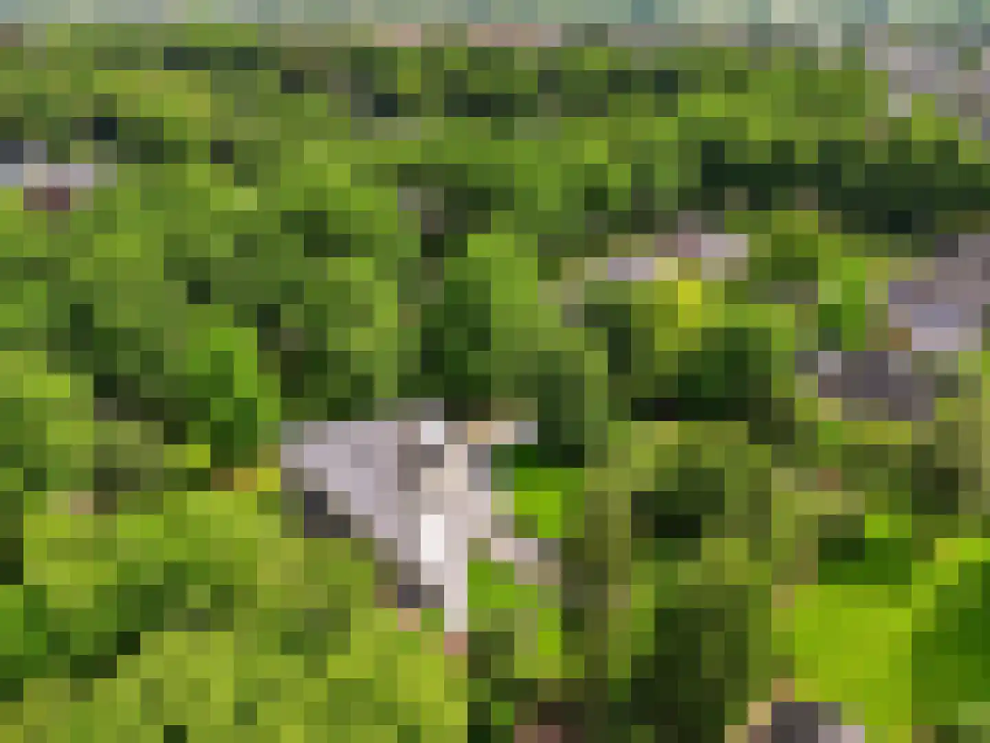 Engelenburgerlaan 27 Brummen thumbnail 10