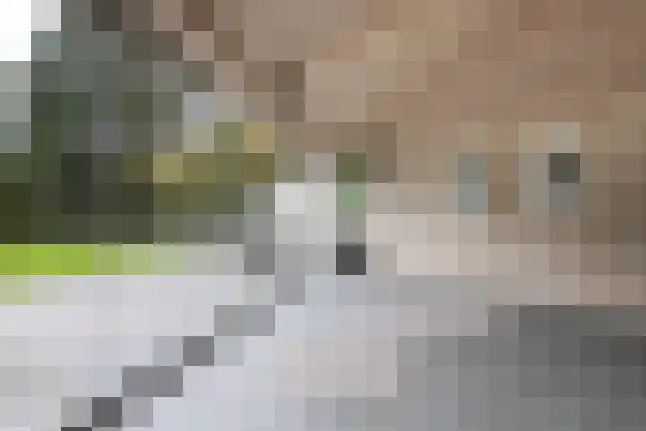 Engelenburgerlaan 27 Brummen thumbnail 12
