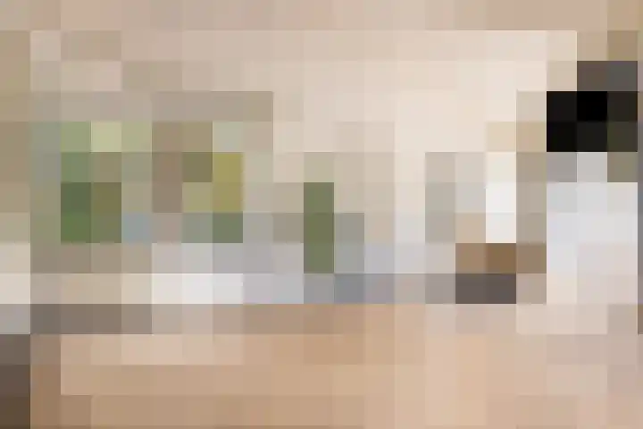 Engelenburgerlaan 27 Brummen thumbnail 18