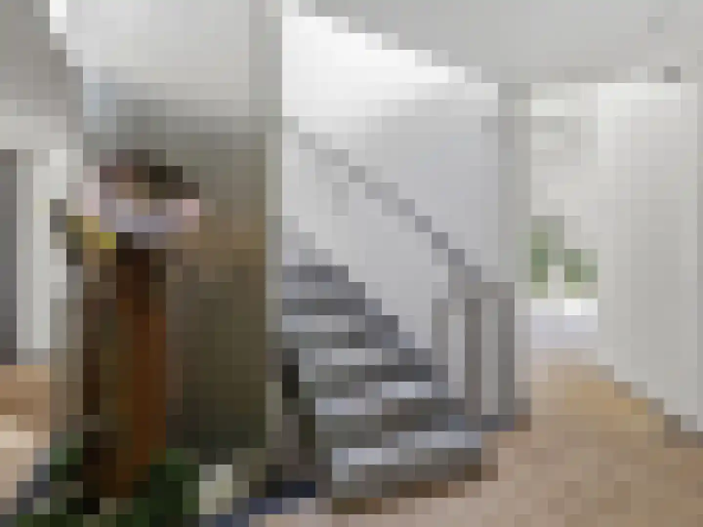 Engelenburgerlaan 27 Brummen thumbnail 19