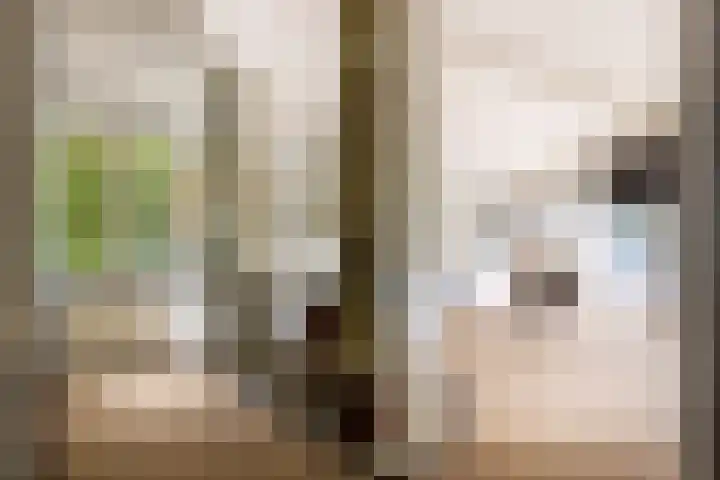 Engelenburgerlaan 27 Brummen thumbnail 20