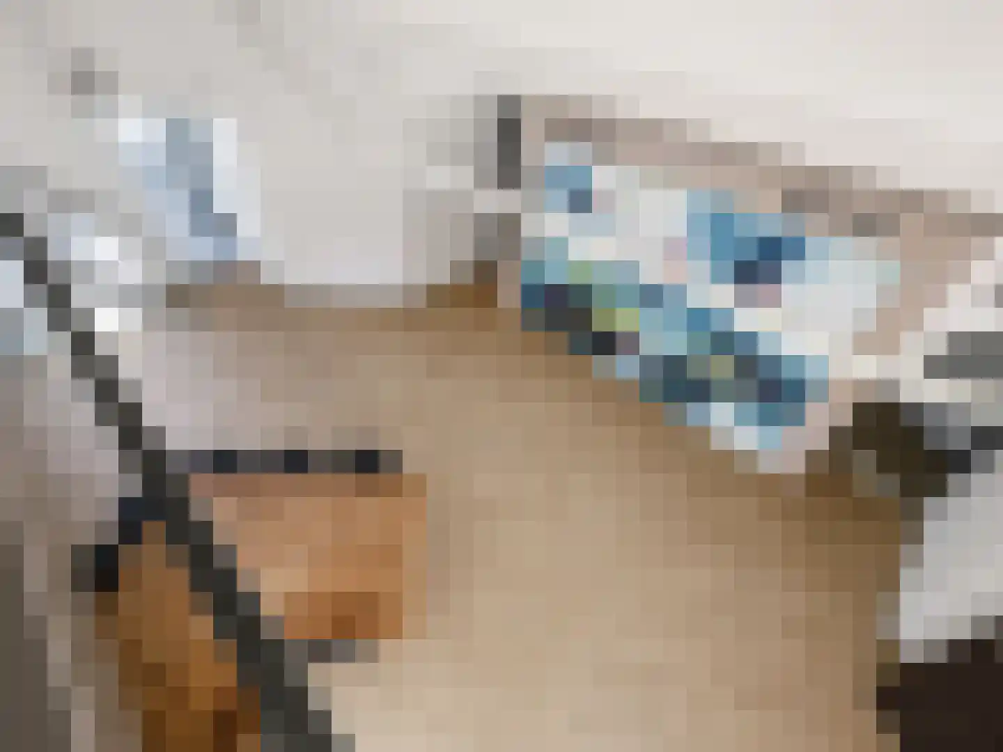 Engelenburgerlaan 27 Brummen thumbnail 26