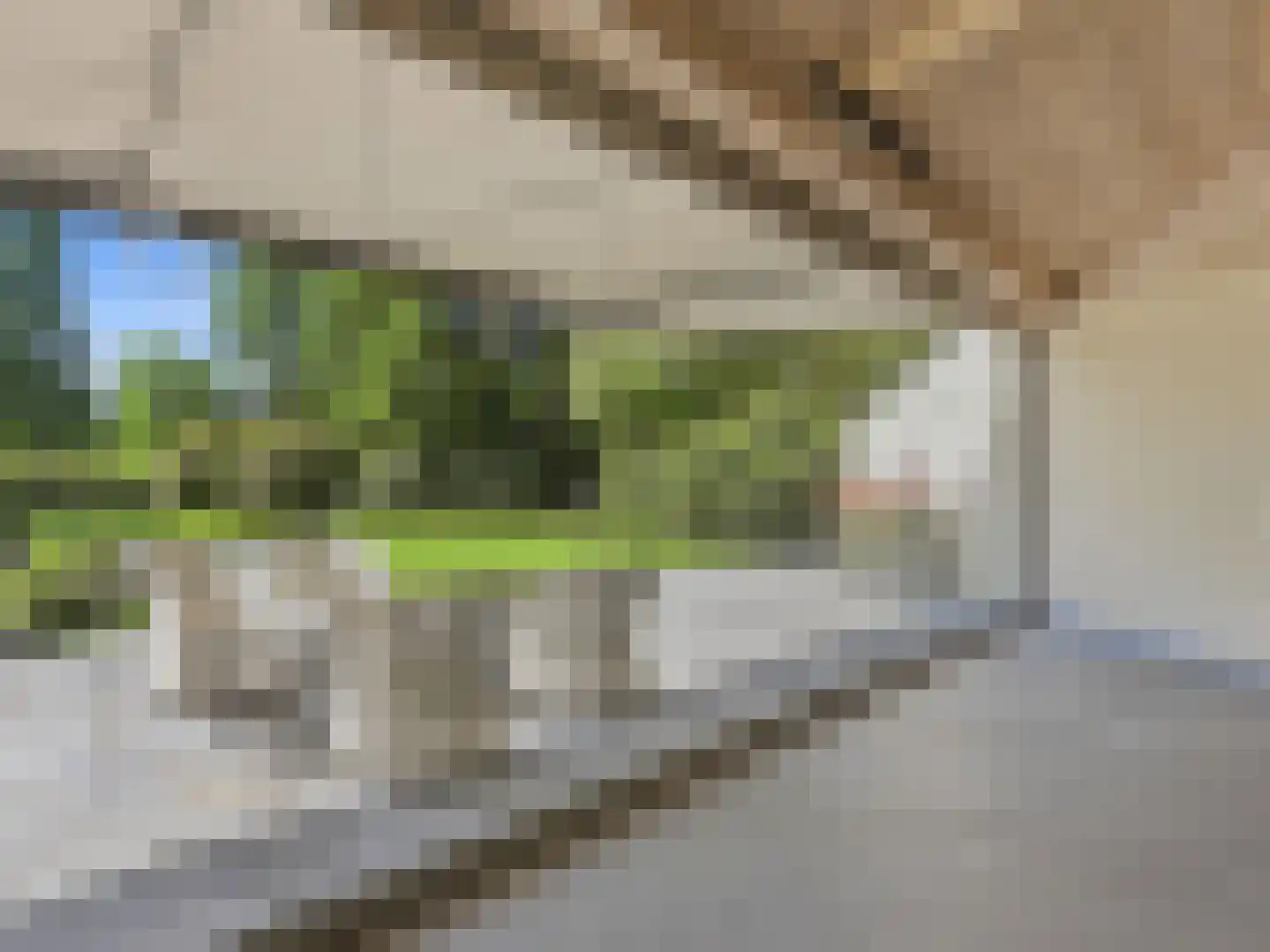 Engelenburgerlaan 27 Brummen thumbnail 28