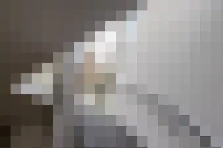 Engelenburgerlaan 27 Brummen thumbnail 32