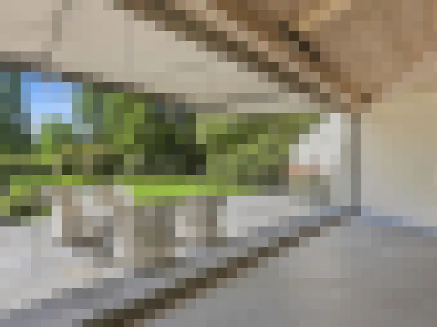 Engelenburgerlaan 27 Brummen thumbnail 36