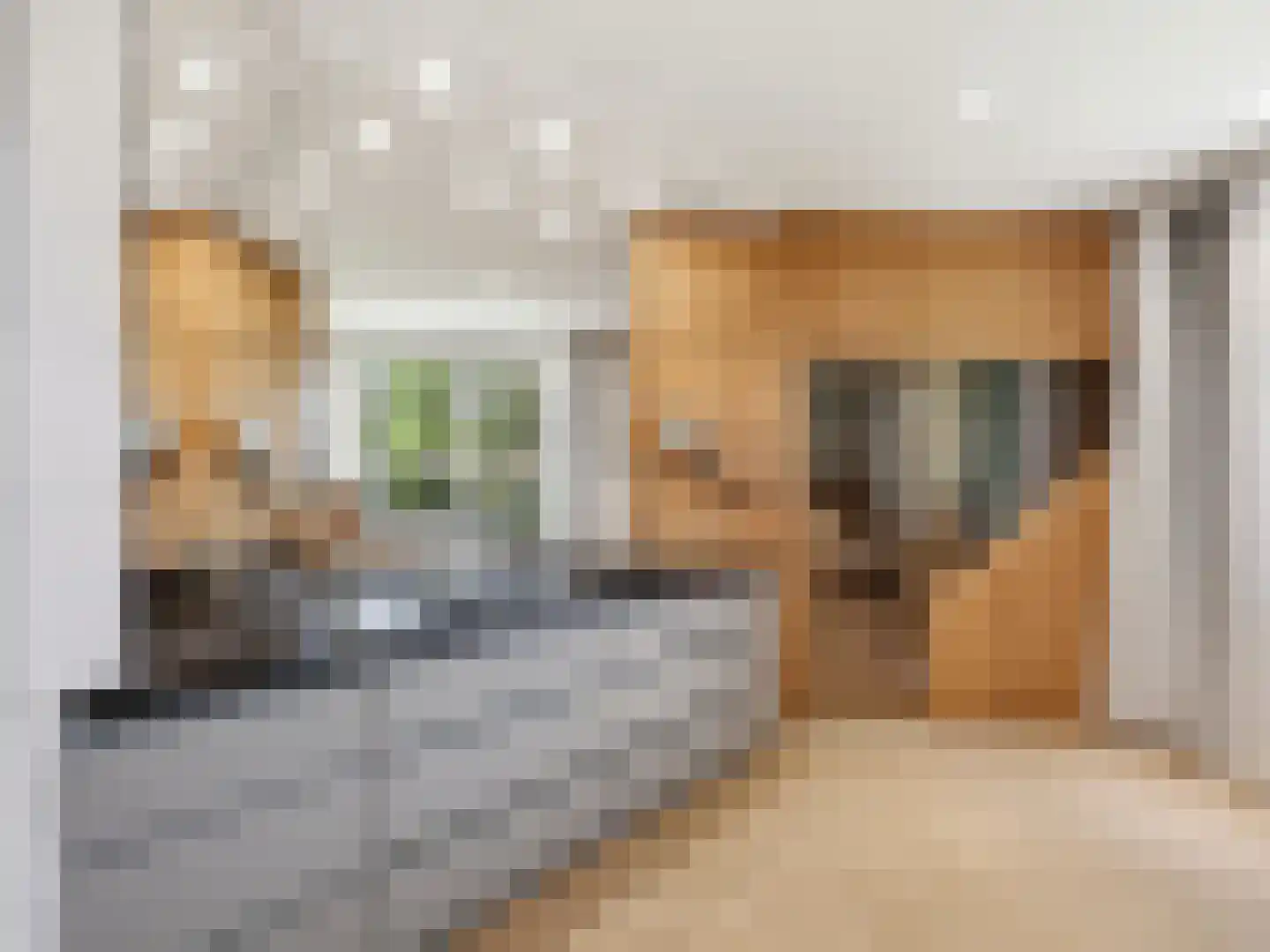 Engelenburgerlaan 27 Brummen thumbnail 38