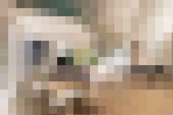 Engelenburgerlaan 27 Brummen thumbnail 4