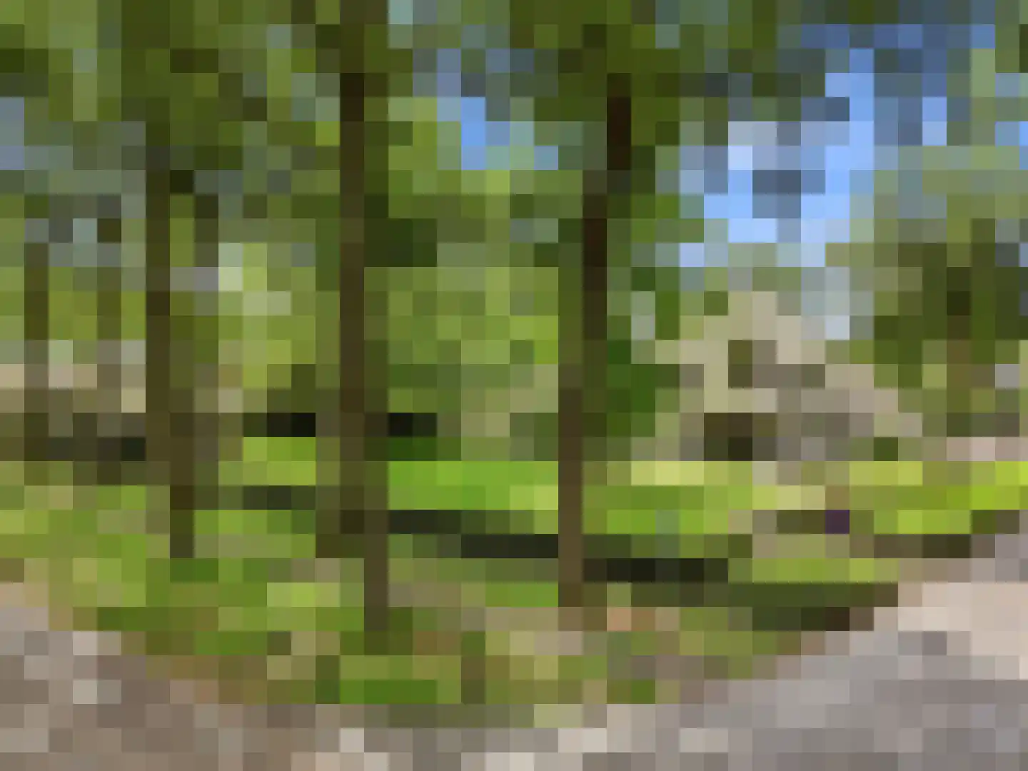 Engelenburgerlaan 27 Brummen thumbnail 4