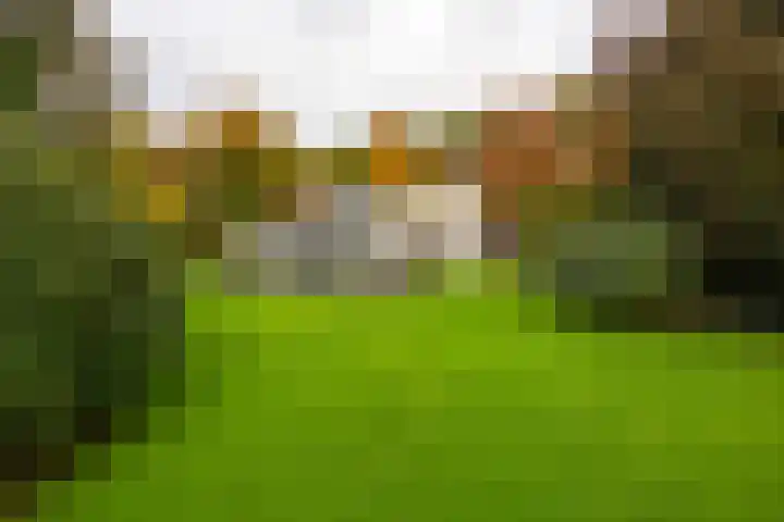 Engelenburgerlaan 27 Brummen thumbnail 41