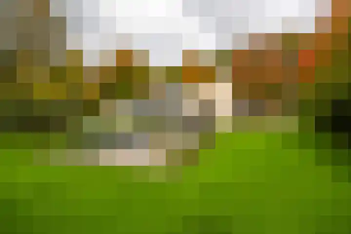 Engelenburgerlaan 27 Brummen thumbnail 42
