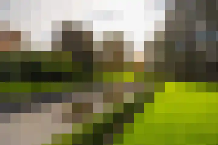 Engelenburgerlaan 27 Brummen thumbnail 45