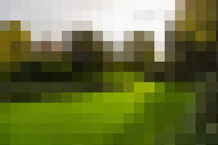 Engelenburgerlaan 27 Brummen thumbnail 46