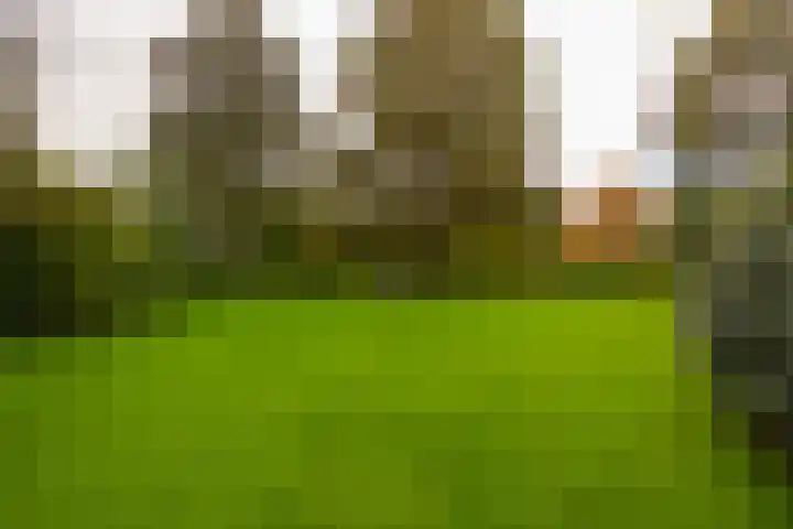 Engelenburgerlaan 27 Brummen thumbnail 47