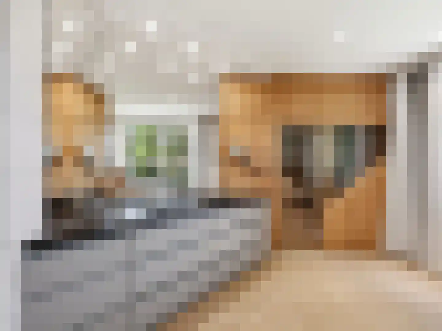 Engelenburgerlaan 27 Brummen thumbnail 47