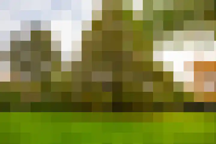 Engelenburgerlaan 27 Brummen thumbnail 48