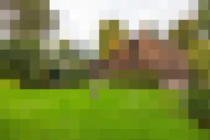 Engelenburgerlaan 27 Brummen thumbnail 49