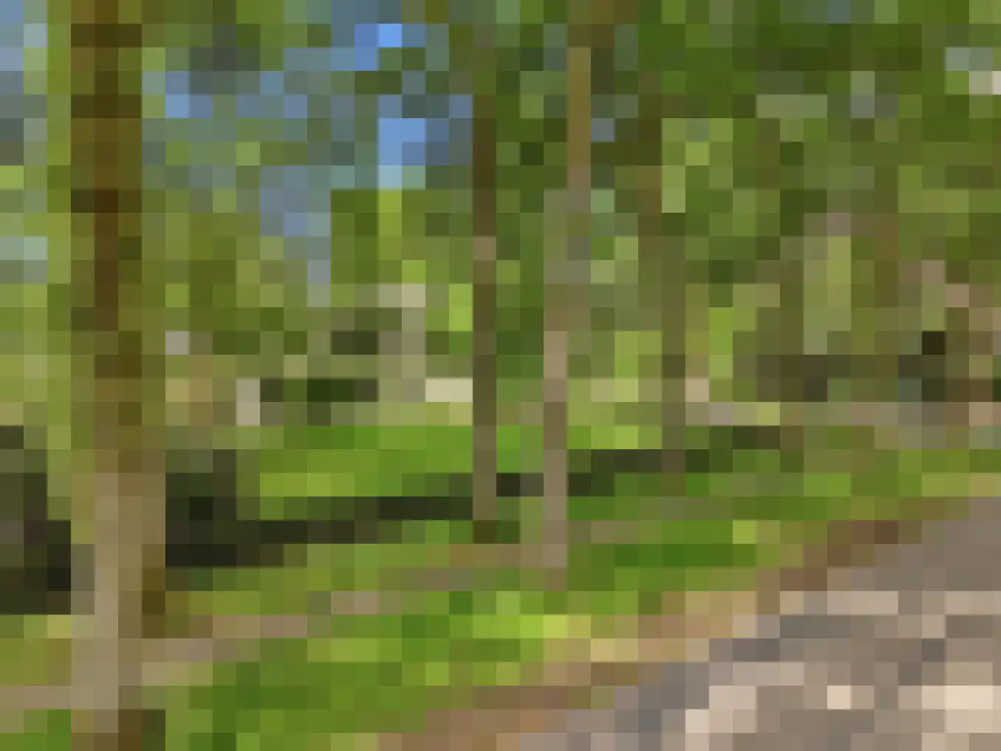 Engelenburgerlaan 27 Brummen thumbnail 5