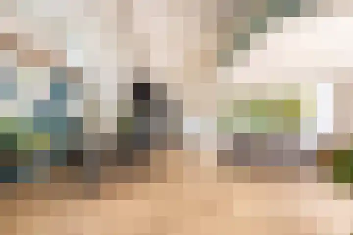 Engelenburgerlaan 27 Brummen thumbnail 5