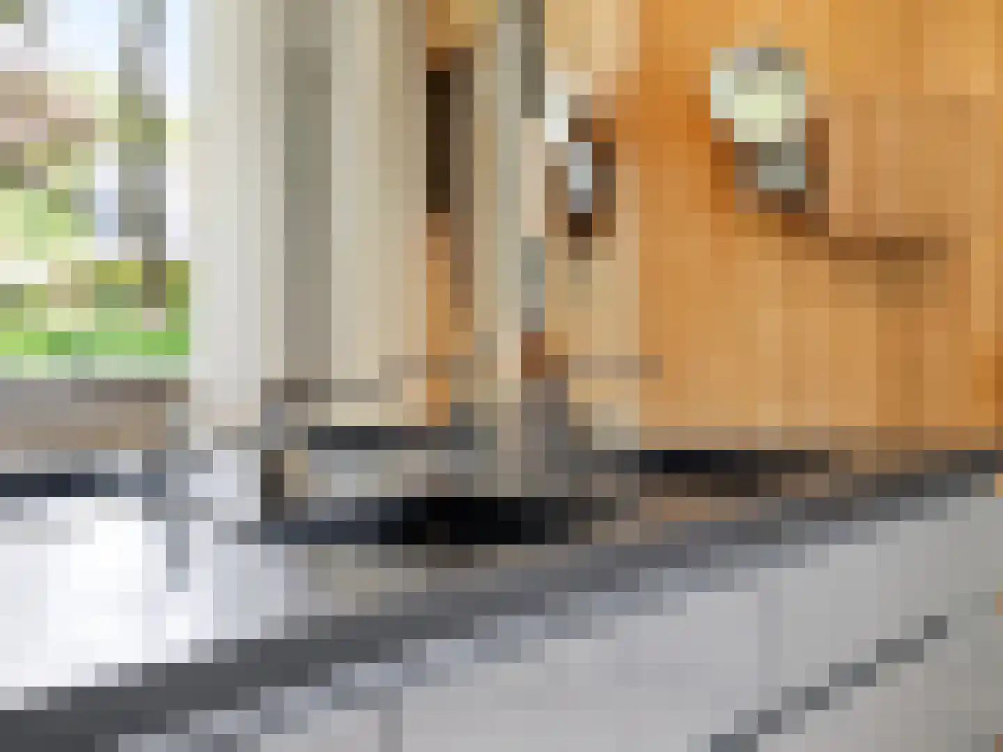 Engelenburgerlaan 27 Brummen thumbnail 50