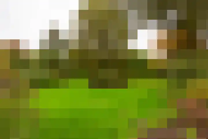 Engelenburgerlaan 27 Brummen thumbnail 50
