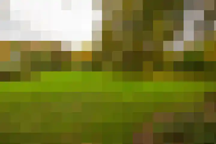 Engelenburgerlaan 27 Brummen thumbnail 51