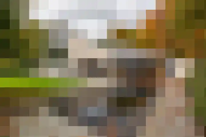Engelenburgerlaan 27 Brummen thumbnail 54