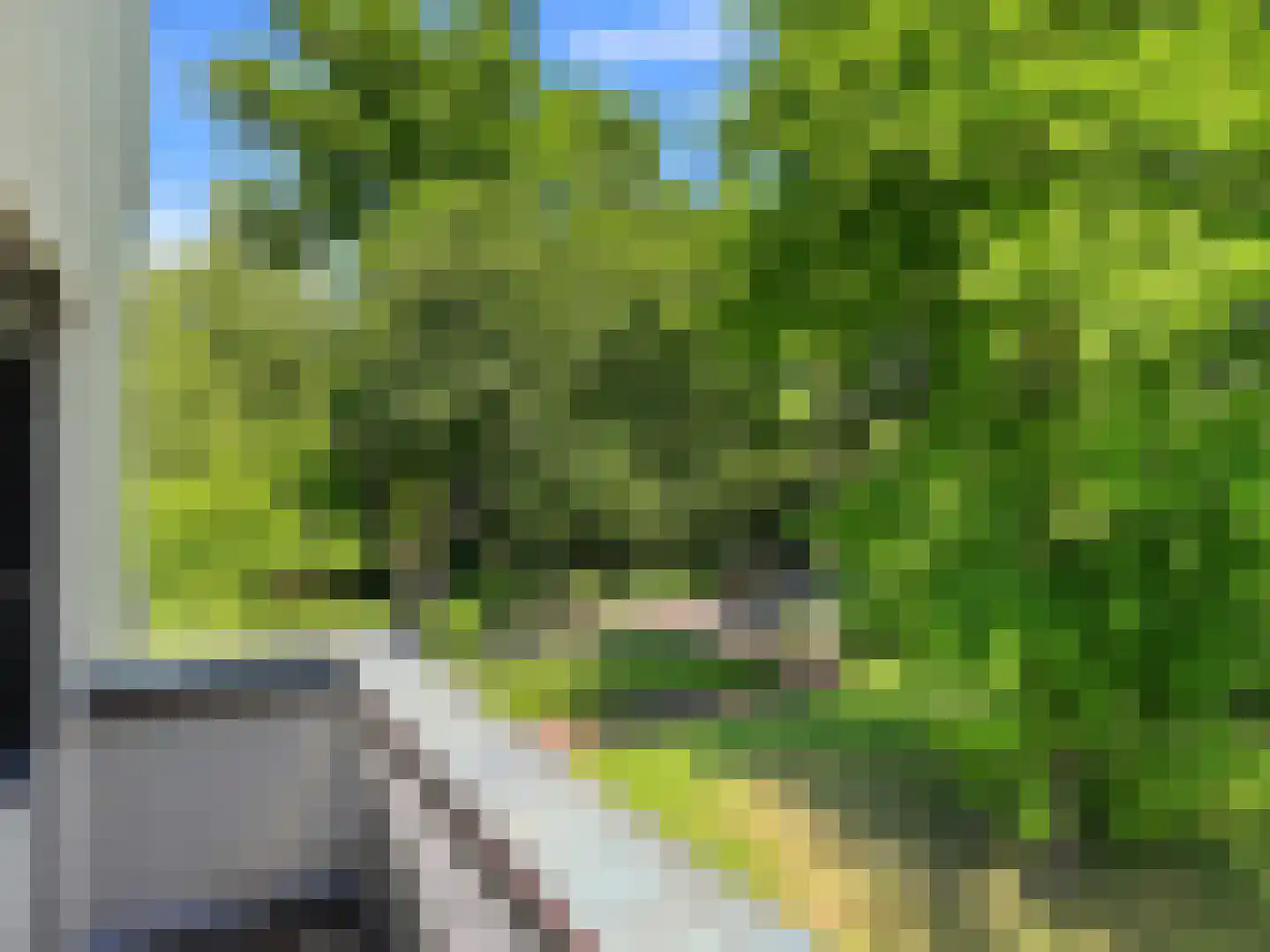 Engelenburgerlaan 27 Brummen thumbnail 56