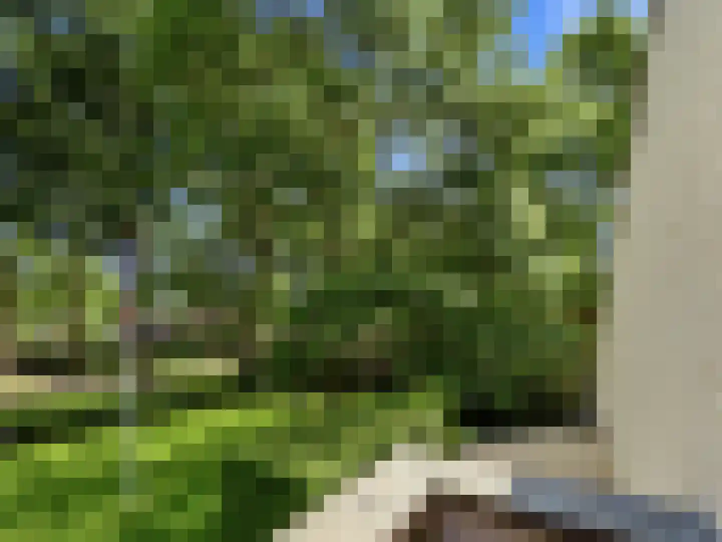 Engelenburgerlaan 27 Brummen thumbnail 57