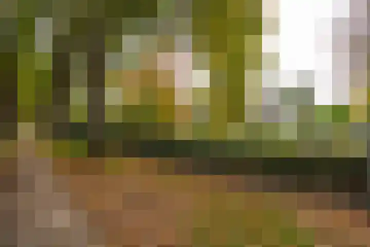 Engelenburgerlaan 27 Brummen thumbnail 57