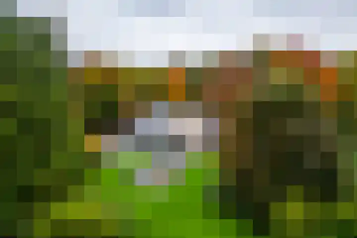 Engelenburgerlaan 27 Brummen thumbnail 58