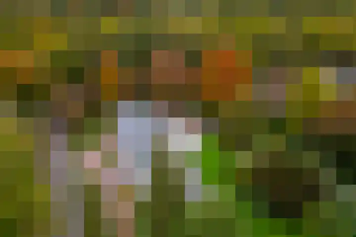 Engelenburgerlaan 27 Brummen thumbnail 59