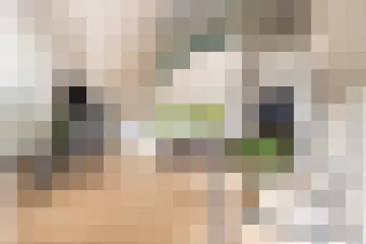 Engelenburgerlaan 27 Brummen thumbnail 6