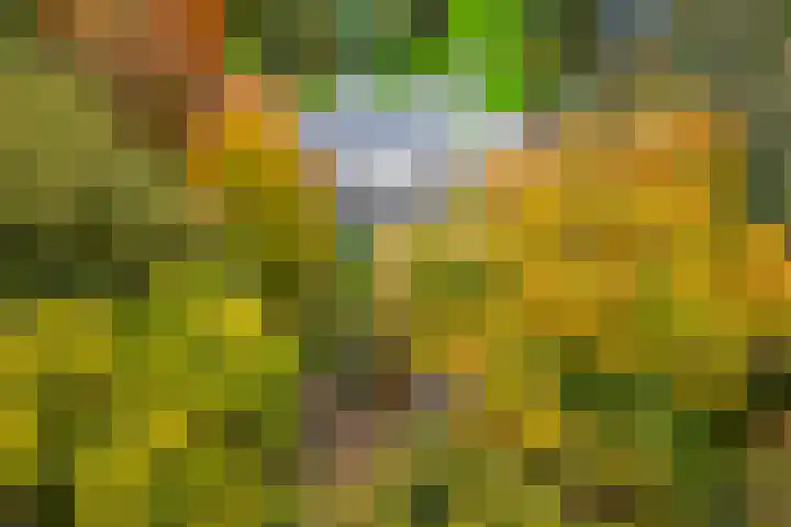 Engelenburgerlaan 27 Brummen thumbnail 60