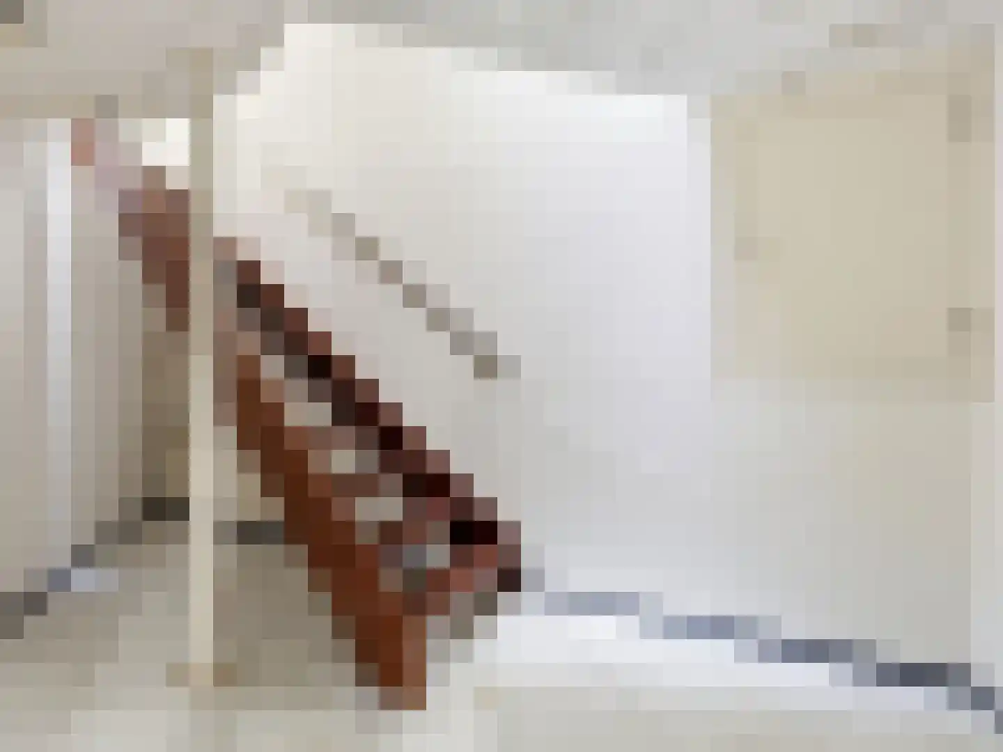 Engelenburgerlaan 27 Brummen thumbnail 68