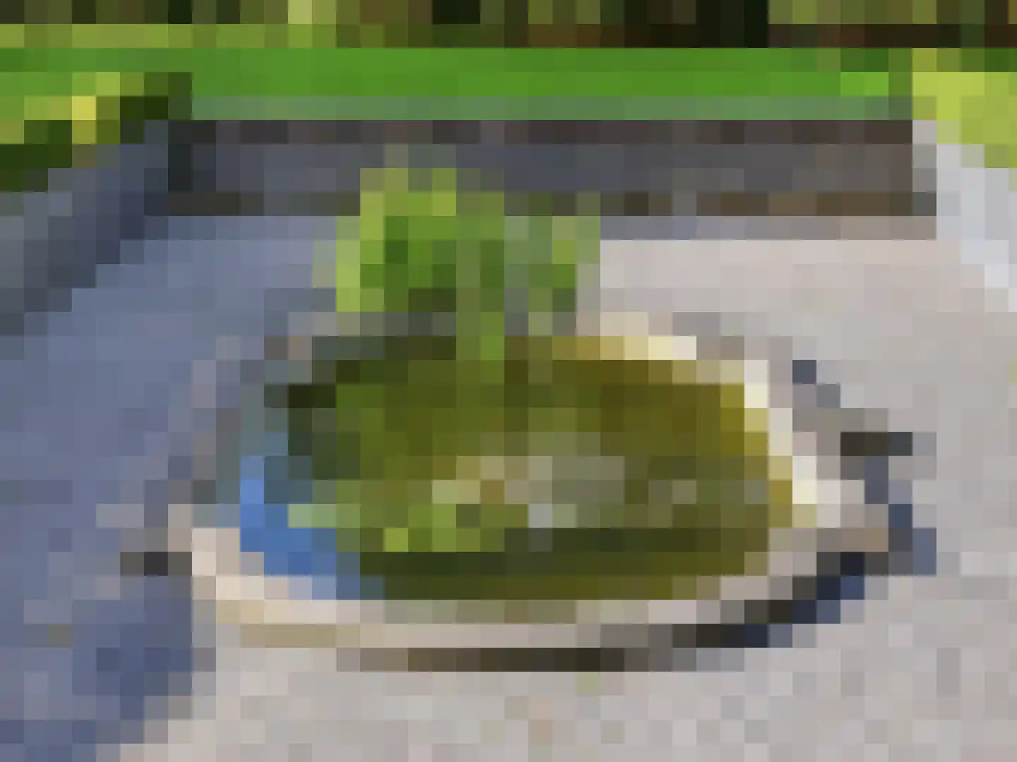 Engelenburgerlaan 27 Brummen thumbnail 69