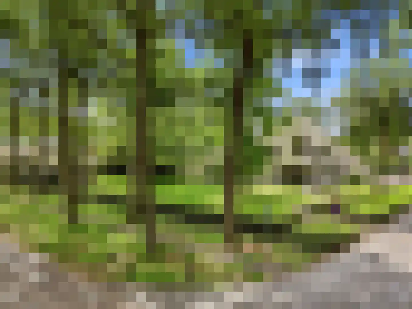 Engelenburgerlaan 27 Brummen thumbnail 79