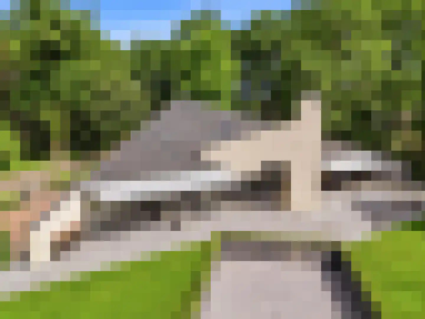 Engelenburgerlaan 27 Brummen thumbnail 79